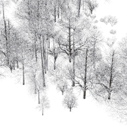 NA Temperate dec A winter