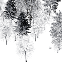 NA Mountain mix A winter