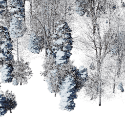 NA Temperate mix A winter