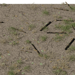 Forest debris Deciduous A spring summer autumn