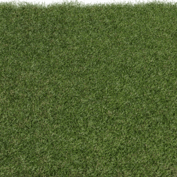 Grass Cut A spring summer