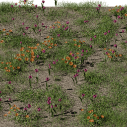 Grass Flowers decorative B spring summer
