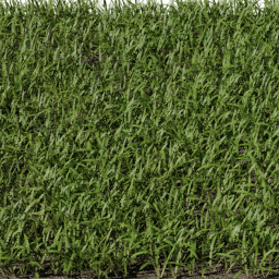 Grass Strands Mixed B spring summer