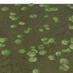 Lilypads Nymphaea A spring summer