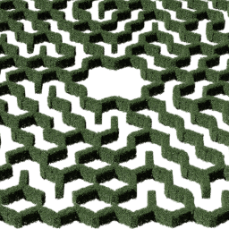 Hedge hexagonal big A summer