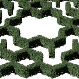 Hedge hexagonal small A summer