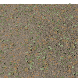Misc Fallen Leaves B autumn