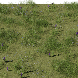 Weeds Alpine Meadow B spring summer