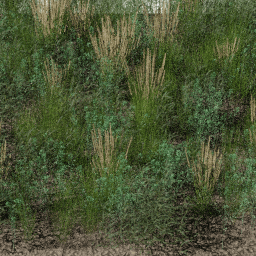 Weeds Riverbank B spring summer