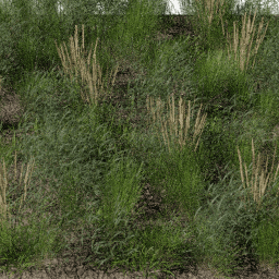 Weeds Steppe C spring summer