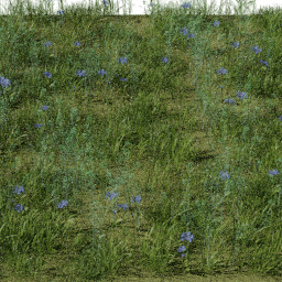 Weeds Swamp B spring summer