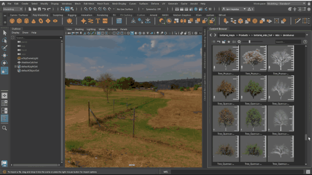 Botaniq V1.0 Maya插件130种植物树木草地模型预设