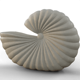 Pot Vase shell B