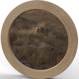 Mirror Circular A