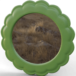 Mirror Round flower frame