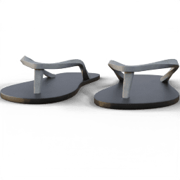 Shoe Flip flop beach
