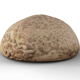 Pastry Bun photoscanned