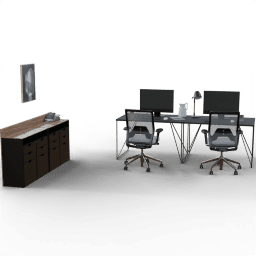 Office Workstation cluster 2 people