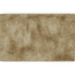 Carpet Shag pps A