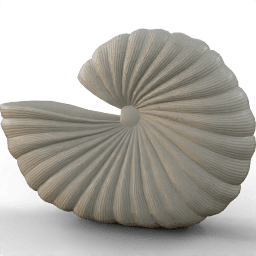 Pot Vase shell B