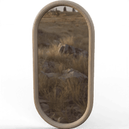 Mirror Oval frame groove