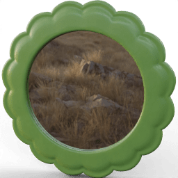 Mirror Round flower frame
