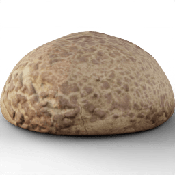 Pastry Bun photoscanned