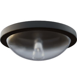 Lamp Ceiling closed circular basic