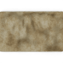 Carpet Shag pps A