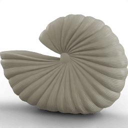 Pot Vase shell B