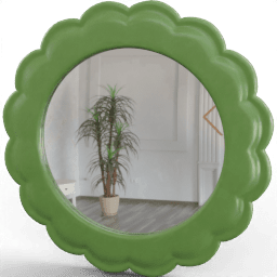 Mirror Round flower frame