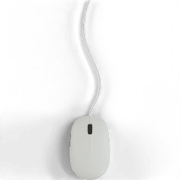Computer Mouse optical
