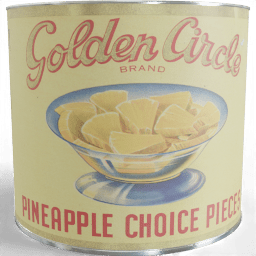 Can Pineapple