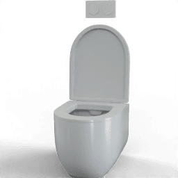 Toilet Classic C