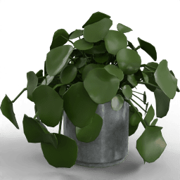 Pot artificial plant Money plant 2