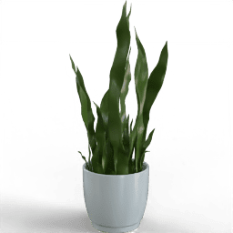 Pot artificial plant Snake plant