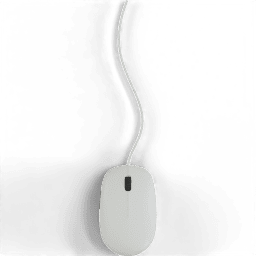 Computer Mouse optical