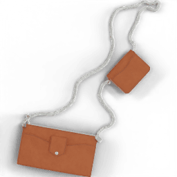 Purse Clutch with coin