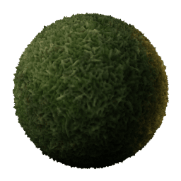GROWTH Lawn
