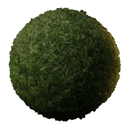 GROWTH Grass Clovers