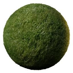 GROWTH Grass Mossy