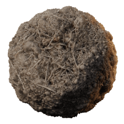 SOIL Rough