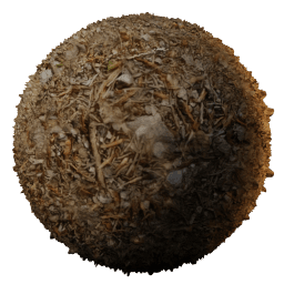 SOIL Forest