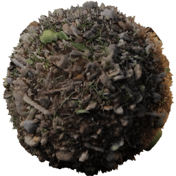 SOIL Forest Leafy