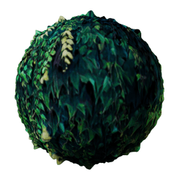 VEGETATION Green Wall