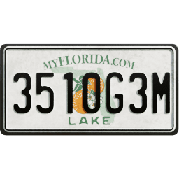 Plate USA Florida