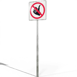 USA Restriction No Hitchhiking