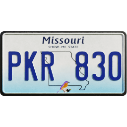 Plate USA Missouri