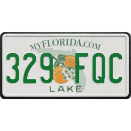 Plate USA Florida