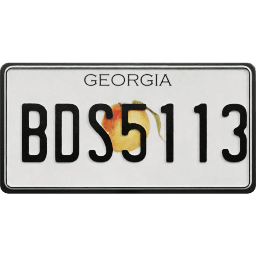 Plate USA Georgia